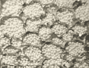 metal-foam-co2-scrubber