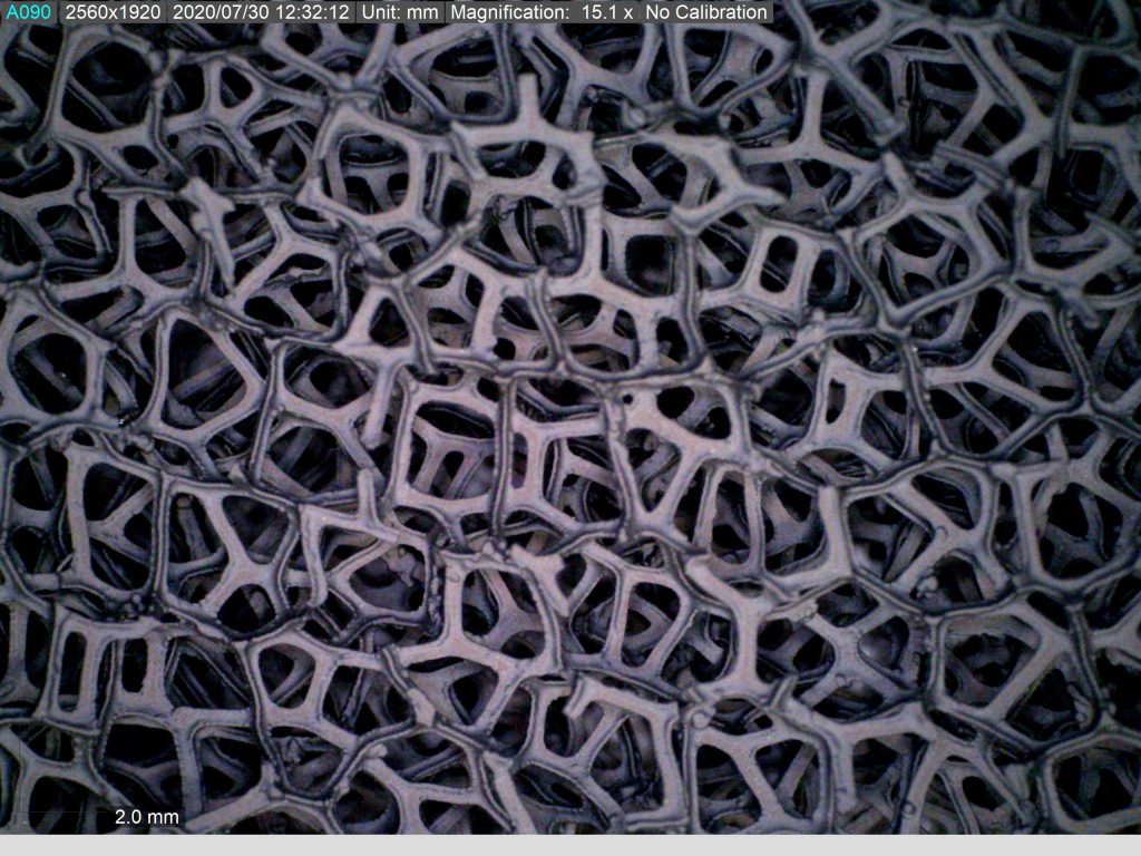 SiC Foam Magnified 15.1x